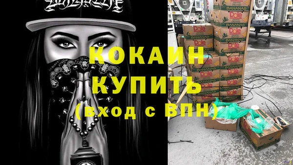 крисы Гусь-Хрустальный