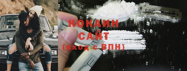 крисы Гусь-Хрустальный
