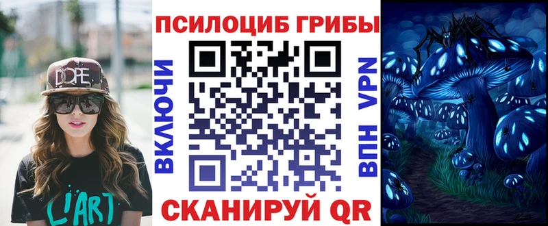 Псилоцибиновые грибы Psilocybe  Новохопёрск 