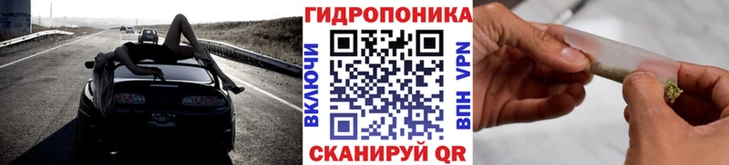 кракен tor  Новохопёрск  Канабис Amnesia  цены наркотик 